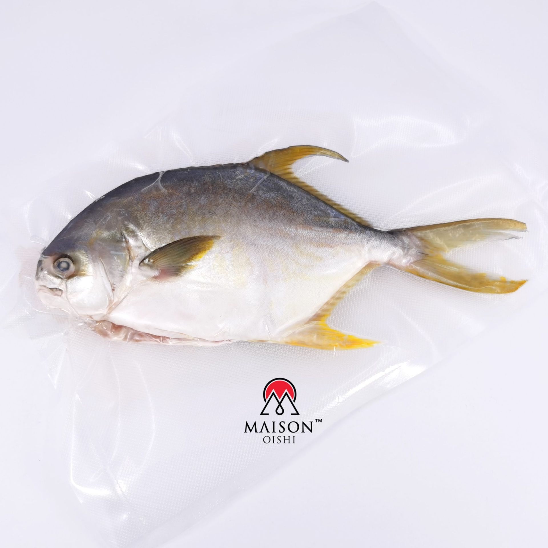 Golden Pomfret 700/900 (Gutted) Maison Oishi